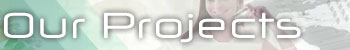 Our Projects